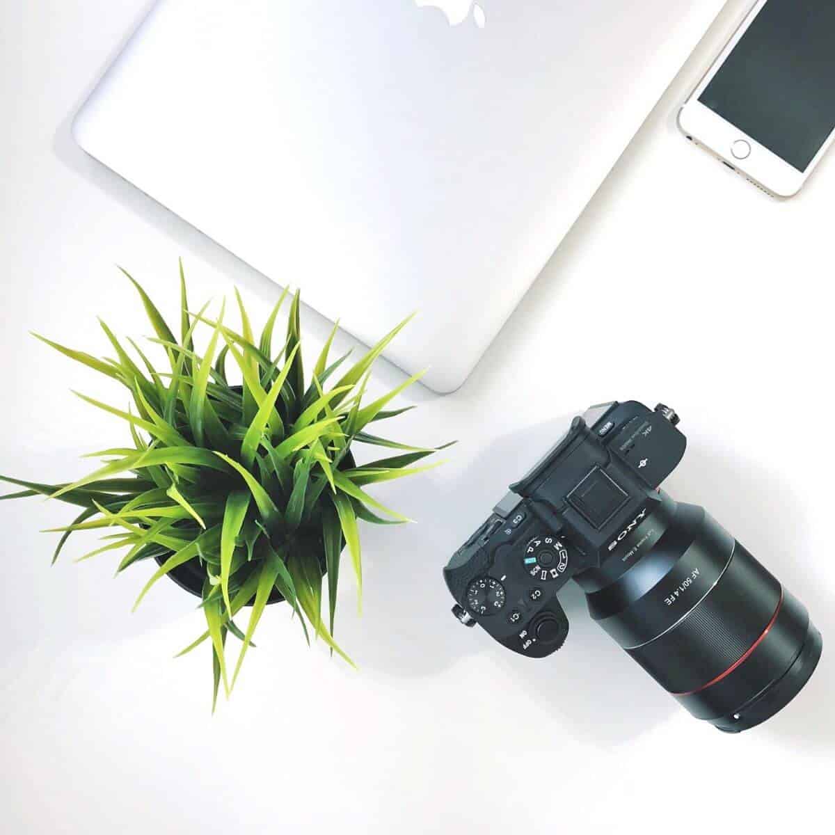 Flatlay of a camera, plant, laptop, and phone.