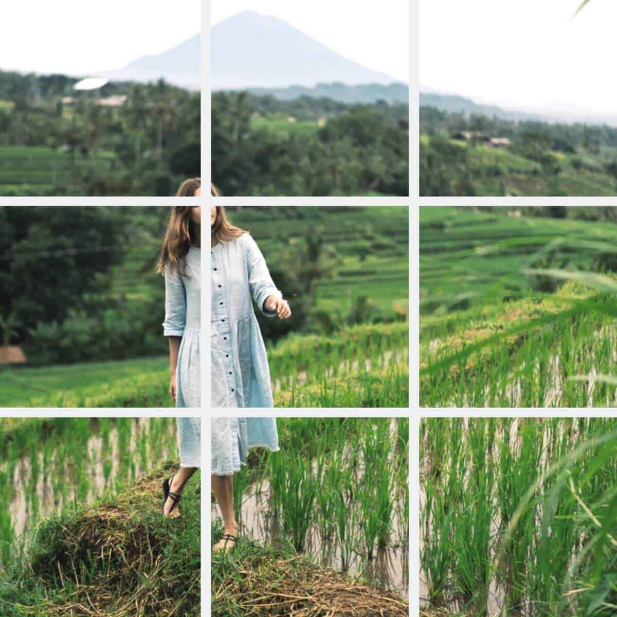 Person walking in a field with a grid overlay.