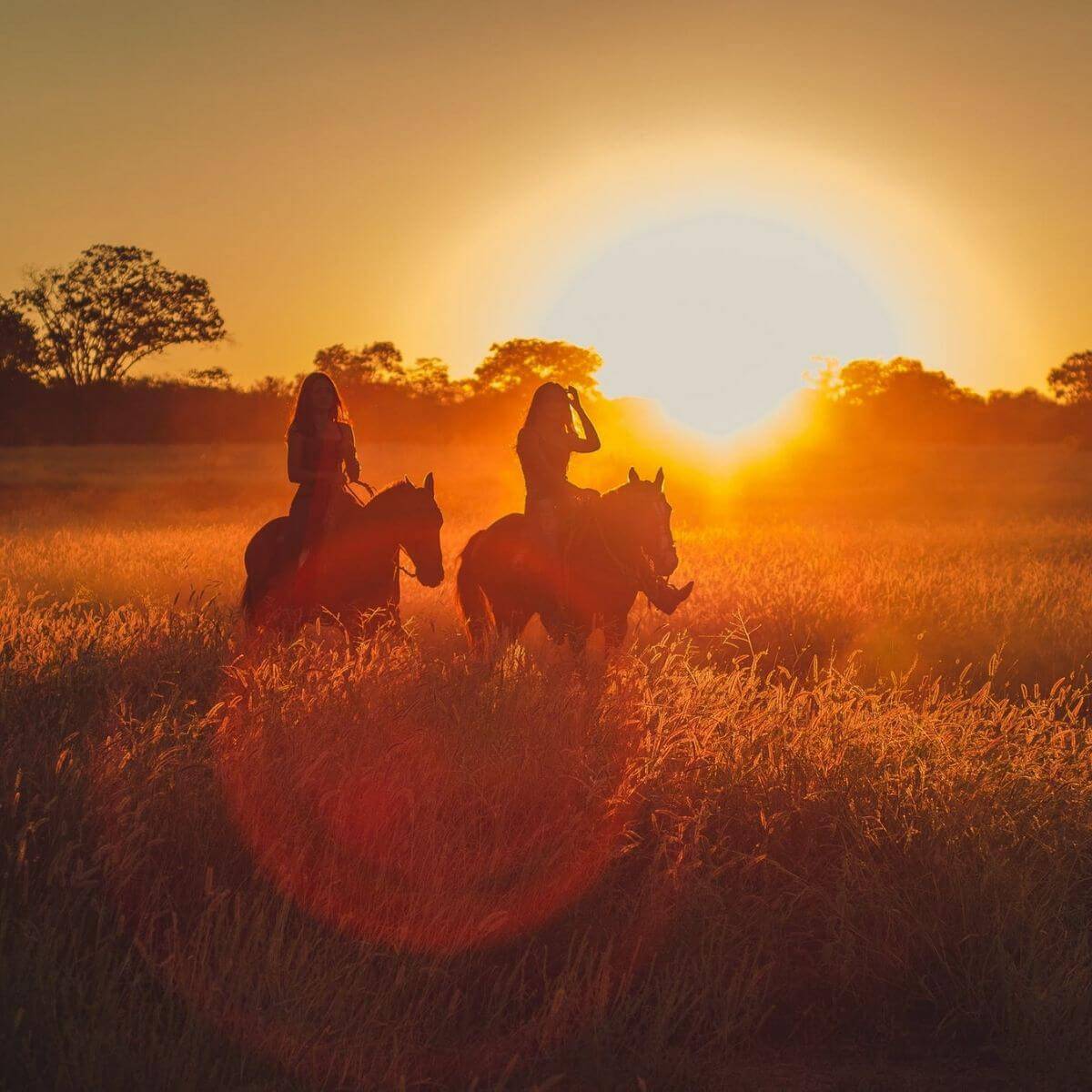 Silhouette of two people riding horses during a sunset.