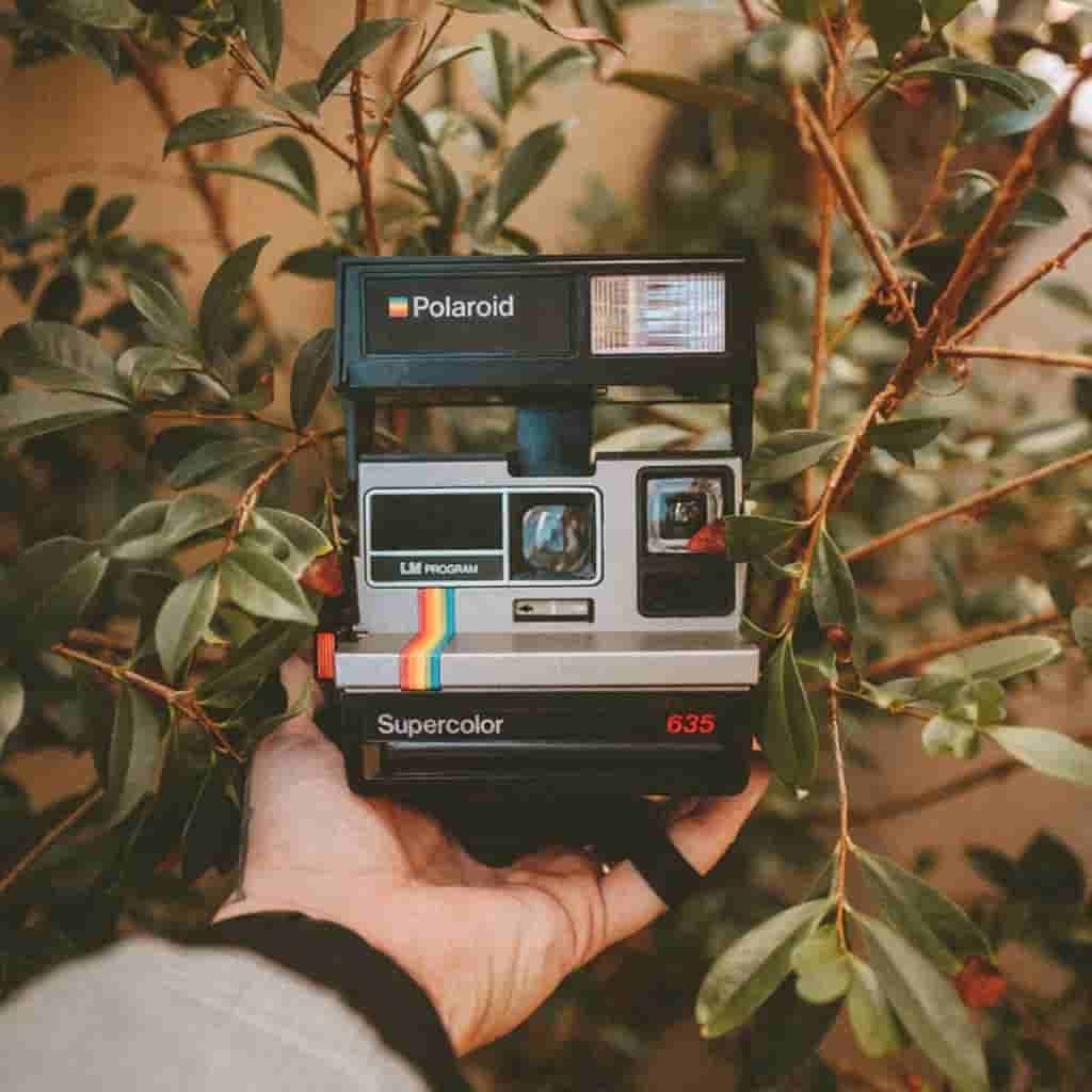 Close-up of a persons hand holding a Polaroid camera against a small tree.