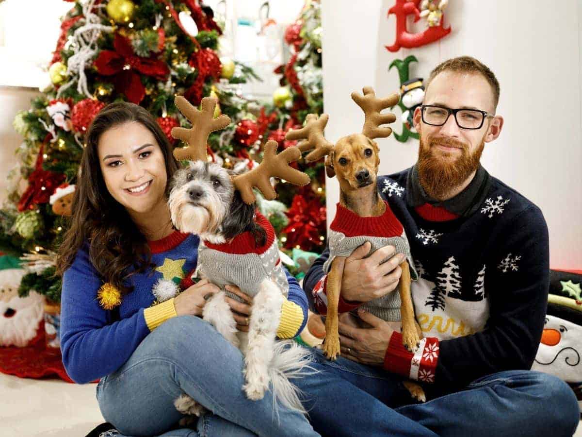 Couple sitting in front of a Christmas tree and holding their dogs.