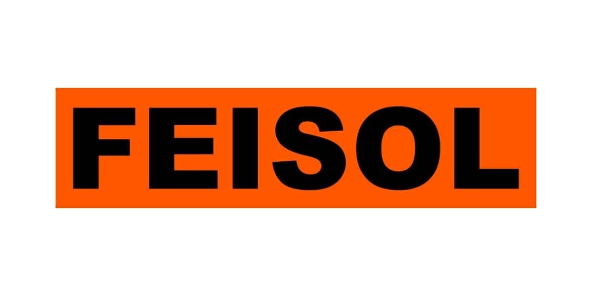 FEISOL logo.