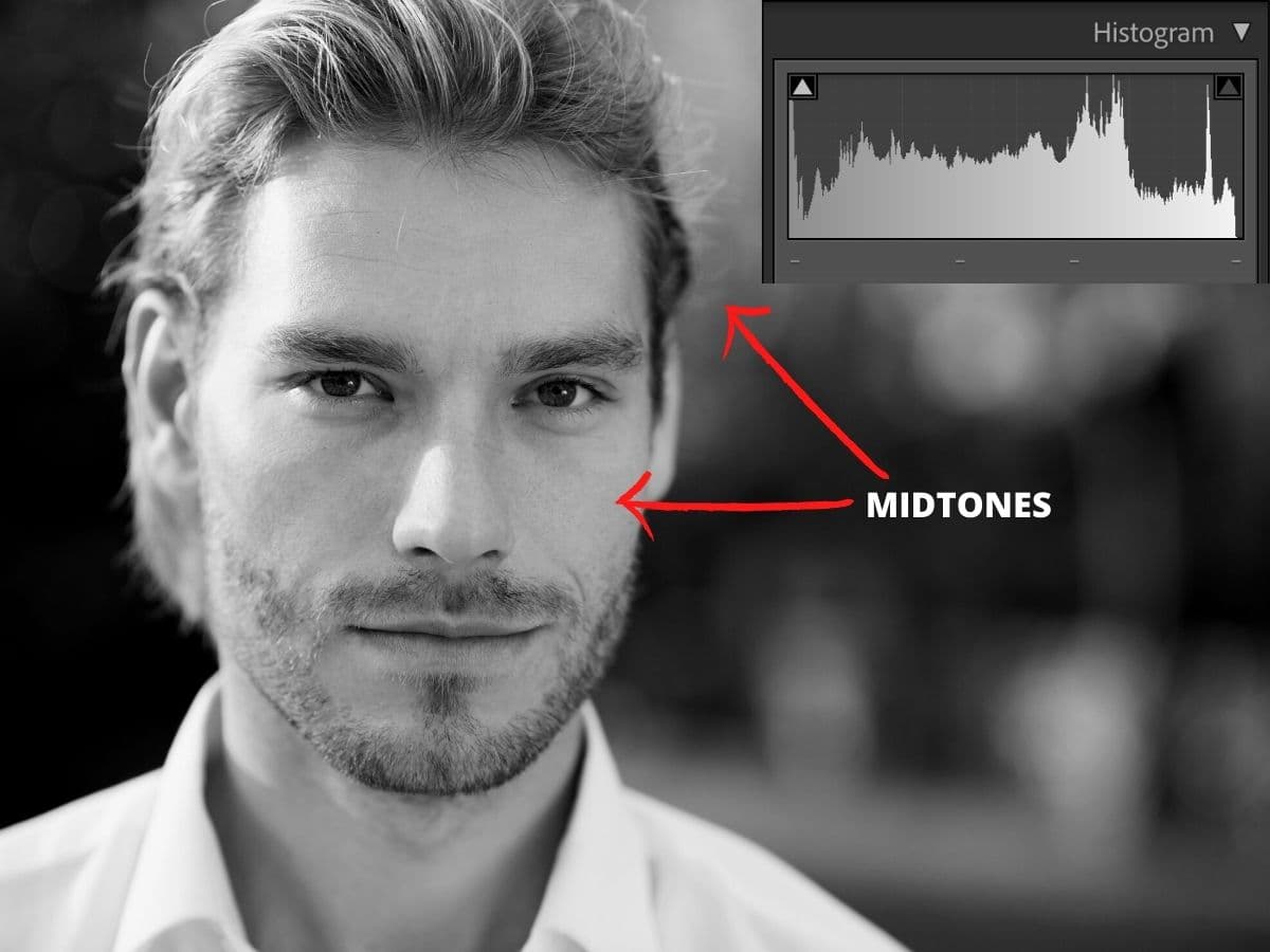 Greyscale headshot of a man with a histogram.