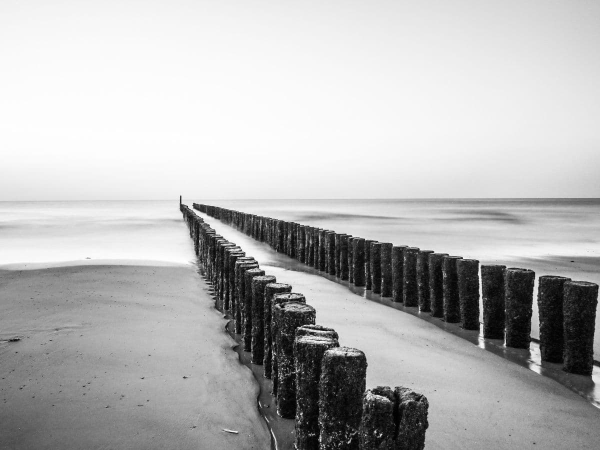 Poles forming a line on a beach.